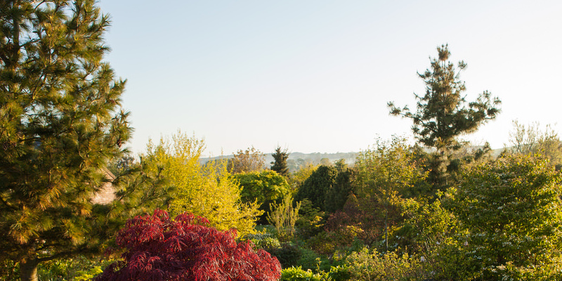 The best way to Dig a Lawn for example in Salt Lake City Up