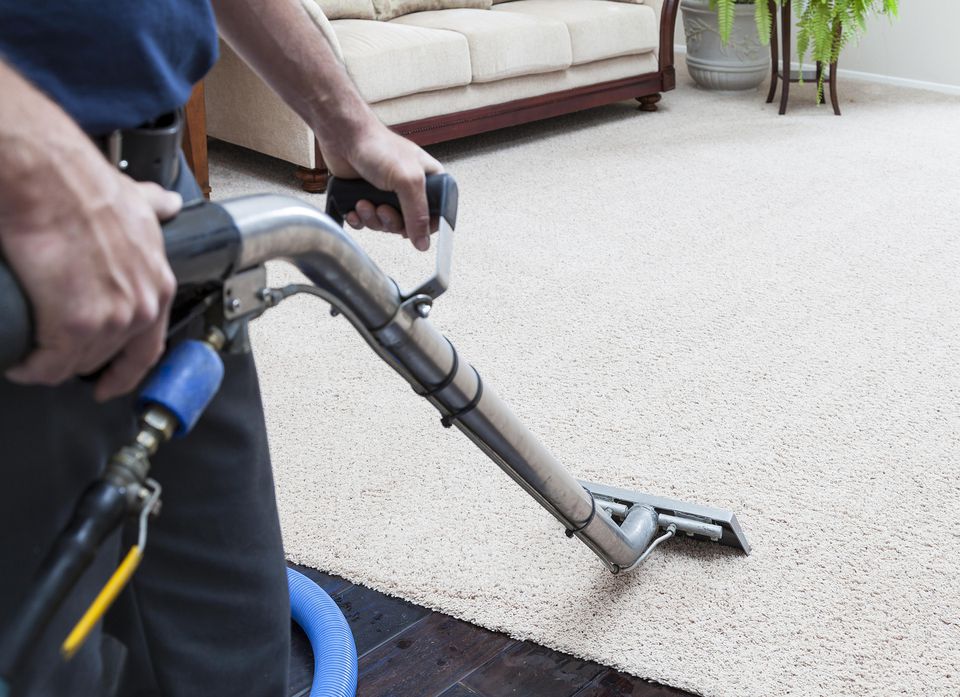 How to Steam Clean Your Carpet