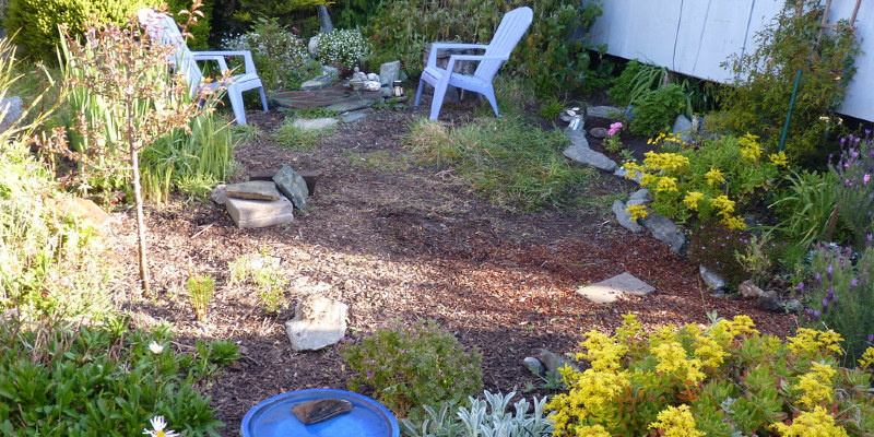 Can You Plant Bulbs in Elevated Wooden Boxes?