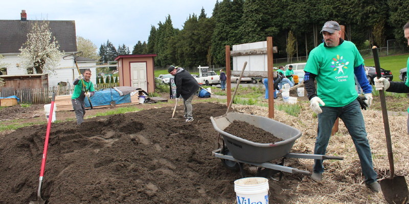 Problems Potting Seedling Trees